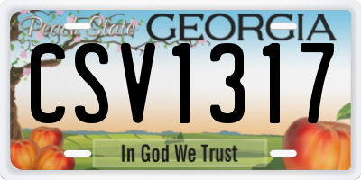 GA license plate CSV1317