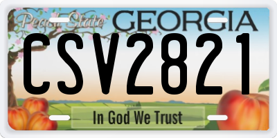 GA license plate CSV2821