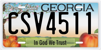 GA license plate CSV4511