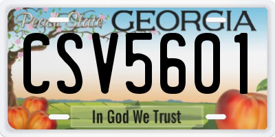GA license plate CSV5601
