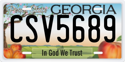 GA license plate CSV5689