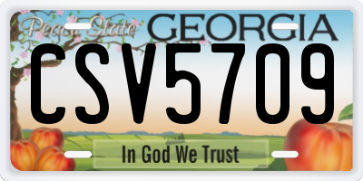 GA license plate CSV5709