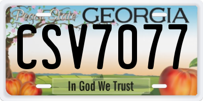 GA license plate CSV7077