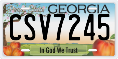GA license plate CSV7245