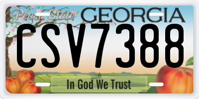 GA license plate CSV7388