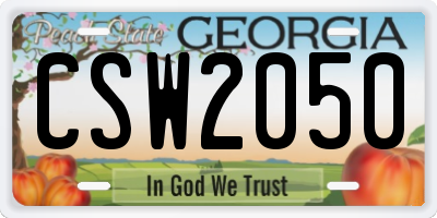 GA license plate CSW2050