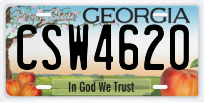 GA license plate CSW4620