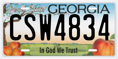 GA license plate CSW4834