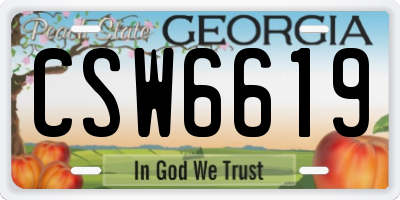GA license plate CSW6619