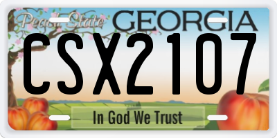 GA license plate CSX2107