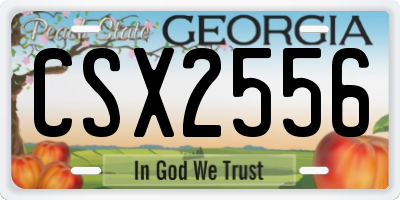 GA license plate CSX2556