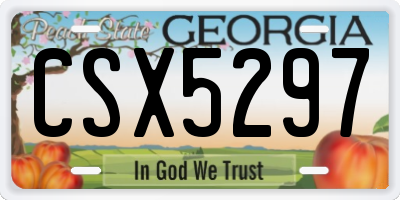 GA license plate CSX5297