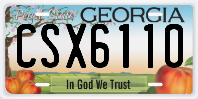 GA license plate CSX6110