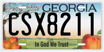 GA license plate CSX8211