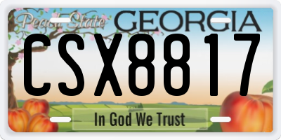 GA license plate CSX8817