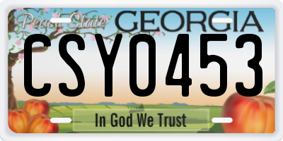 GA license plate CSY0453