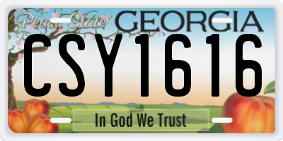 GA license plate CSY1616