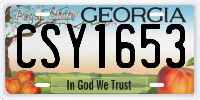 GA license plate CSY1653