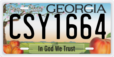 GA license plate CSY1664