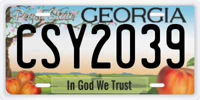 GA license plate CSY2039