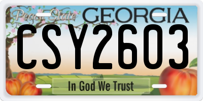 GA license plate CSY2603