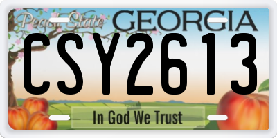 GA license plate CSY2613