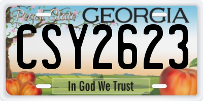 GA license plate CSY2623