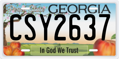 GA license plate CSY2637