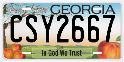 GA license plate CSY2667