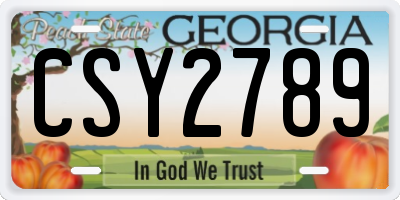 GA license plate CSY2789