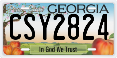 GA license plate CSY2824
