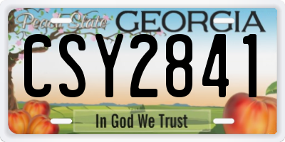 GA license plate CSY2841