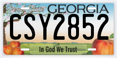 GA license plate CSY2852