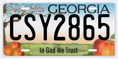 GA license plate CSY2865