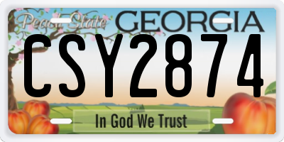 GA license plate CSY2874