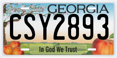 GA license plate CSY2893
