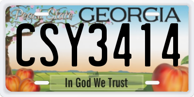 GA license plate CSY3414