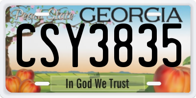 GA license plate CSY3835