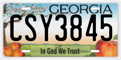 GA license plate CSY3845