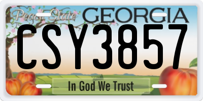 GA license plate CSY3857
