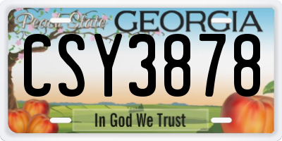 GA license plate CSY3878