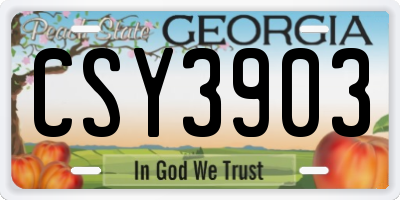 GA license plate CSY3903