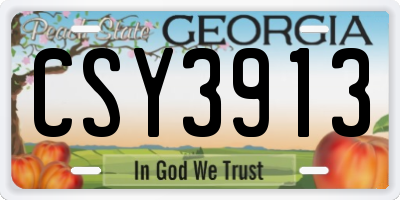 GA license plate CSY3913
