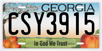 GA license plate CSY3915