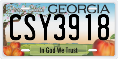 GA license plate CSY3918