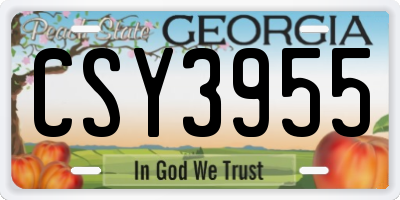 GA license plate CSY3955