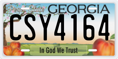 GA license plate CSY4164