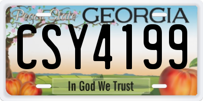 GA license plate CSY4199