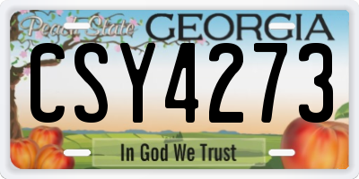 GA license plate CSY4273
