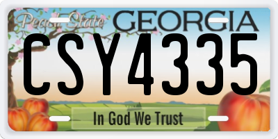 GA license plate CSY4335